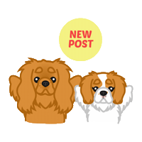 Dog Post Sticker