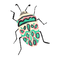 Illustration Bug Sticker by Louise Gouet
