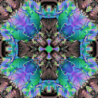 Rainbow Mandala GIF