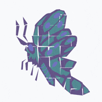 Butterfly Pattern GIF