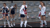 GIF by Volleyball World