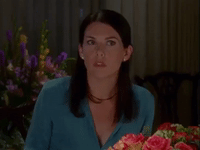 season 1 netflix GIF by Gilmore Girls 