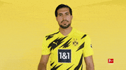 Happy Borussia Dortmund GIF by Bundesliga