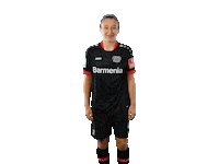Bayer 04 Yes Sticker by Bayer 04 Leverkusen