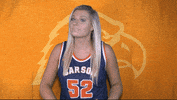 Cnwb19 GIF by Carson-Newman Athletics