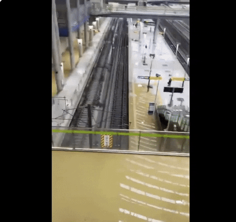 qwerpoiu22ppop giphyupload GIF