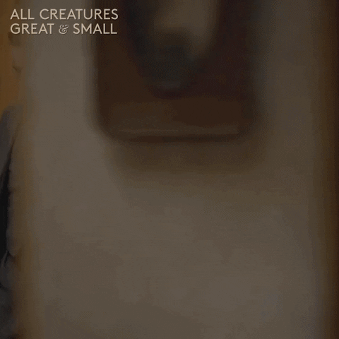 allcreaturestv animals shock panic yorkshire GIF