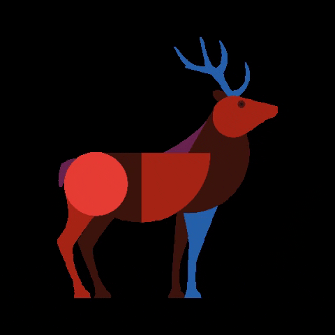 Deer GIF by Koopeenkoe