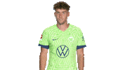 Oh No Football Sticker by VfL Wolfsburg