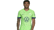Oh No Football Sticker by VfL Wolfsburg
