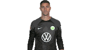 Oh No Football Sticker by VfL Wolfsburg
