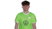 Oh No Football Sticker by VfL Wolfsburg