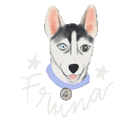 Dog Fruna Sticker by Mandalasparaelalma
