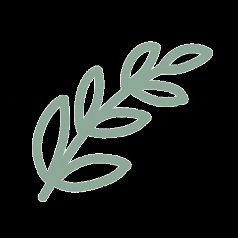 Plant Leaf GIF
