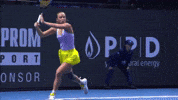 Tennis Wta GIF