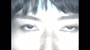GIF by Partisan Records