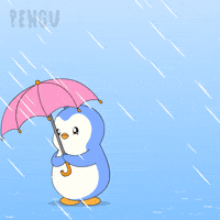 Raining Rainy Day GIF by Pudgy Penguins
