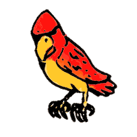 Ave La Diaria Sticker by Loto Honduras