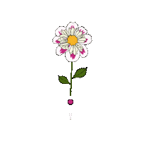 Kytka Vole Sticker