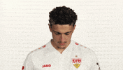 Look Up Vfb Stuttgart GIF by Bundesliga