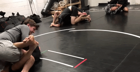 TFSMatt giphygifmaker GIF