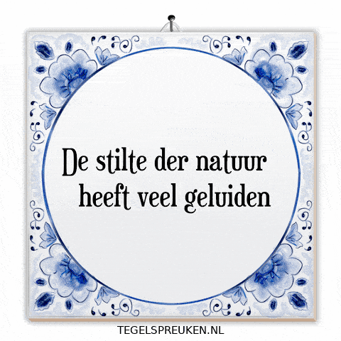 Humor Nl GIF by Tegelspreuken.nl