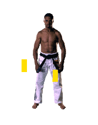 sticker mma by Karate Combat