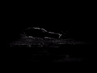 b&w glitch GIF by Ai Di Ti