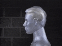 hauntedvault comedy joke head stupid GIF