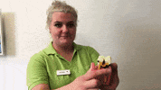 fun no GIF by 360°zahn