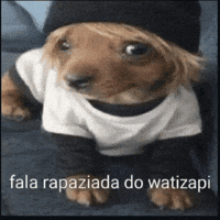Ycaro GIF