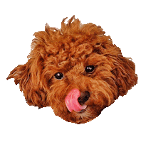 Hungry Dog Sticker