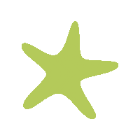 Star Sticker by FISCHER