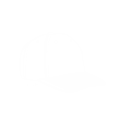 Visa Card Hat Sticker by Fampay India
