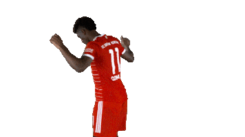 Football Win Sticker by FC Bayern Munich