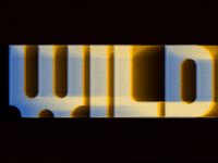 Art Glitch GIF