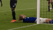 Game Day Football GIF by FC Schalke 04