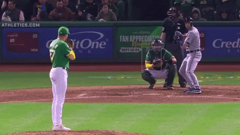 tesstass giphyupload GIF