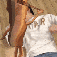 K Pop Fight GIF