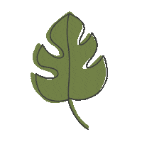 Plant Sticker by Stuff