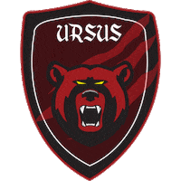wac-osursus handball portugal futsal balonmano Sticker
