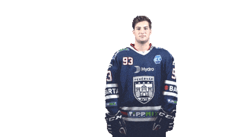 Ice Hockey Sticker by Fehervar AV19