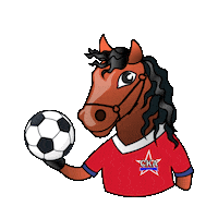 Football Soccer Sticker by FC SKA