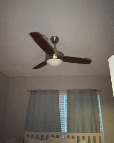 Mr Deeds Lol GIF by Respective