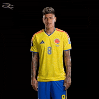 Fifa World Cup Colombia GIF by Respective