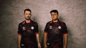 Hell Yeah Good Job GIF by G2 Esports