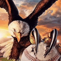Ball Knowledge GIF
