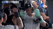 New York Yankees Sport GIF by MLB