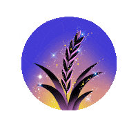 mylunarly moon wellness witchcraft moonphases Sticker