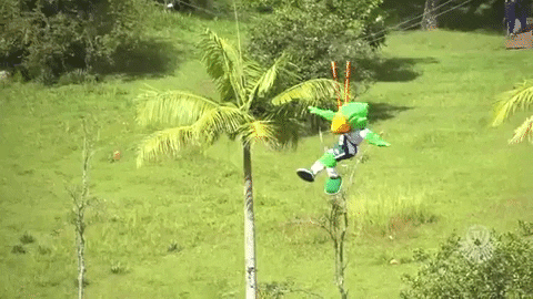 Palmeiras giphygifmaker palmeiras resort voando GIF